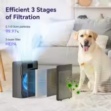 Air Purifiers